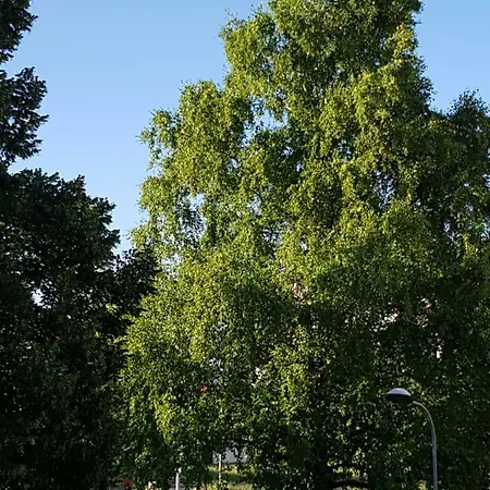 Apartmán Tasa Banja Luka